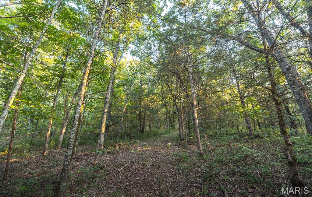 Photo 38 - Land for sale – 00  Mo-V   St James, MO