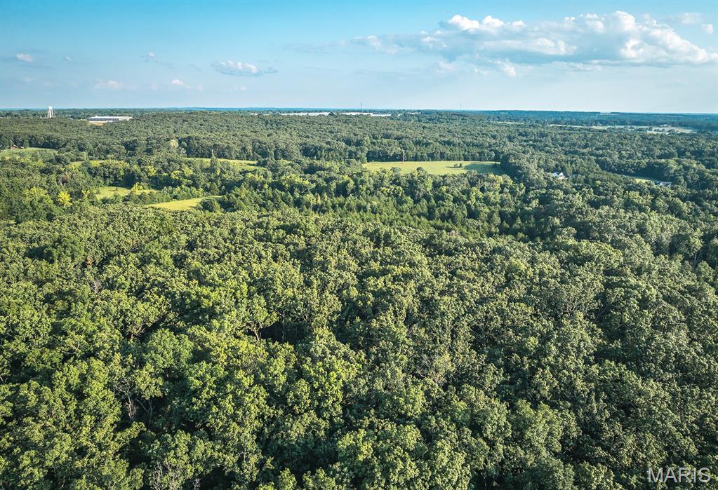 Photo 7 - Land for sale – 00  Mo-V   St James, MO