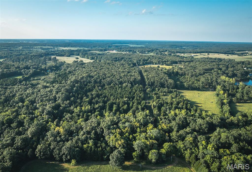 Photo 11 - Land for sale – 00  Mo-V   St James, MO