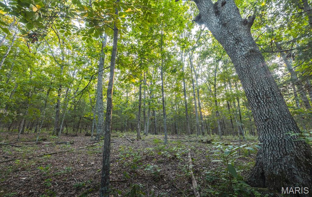 Photo 46 - Land for sale – 00  Mo-V   St James, MO