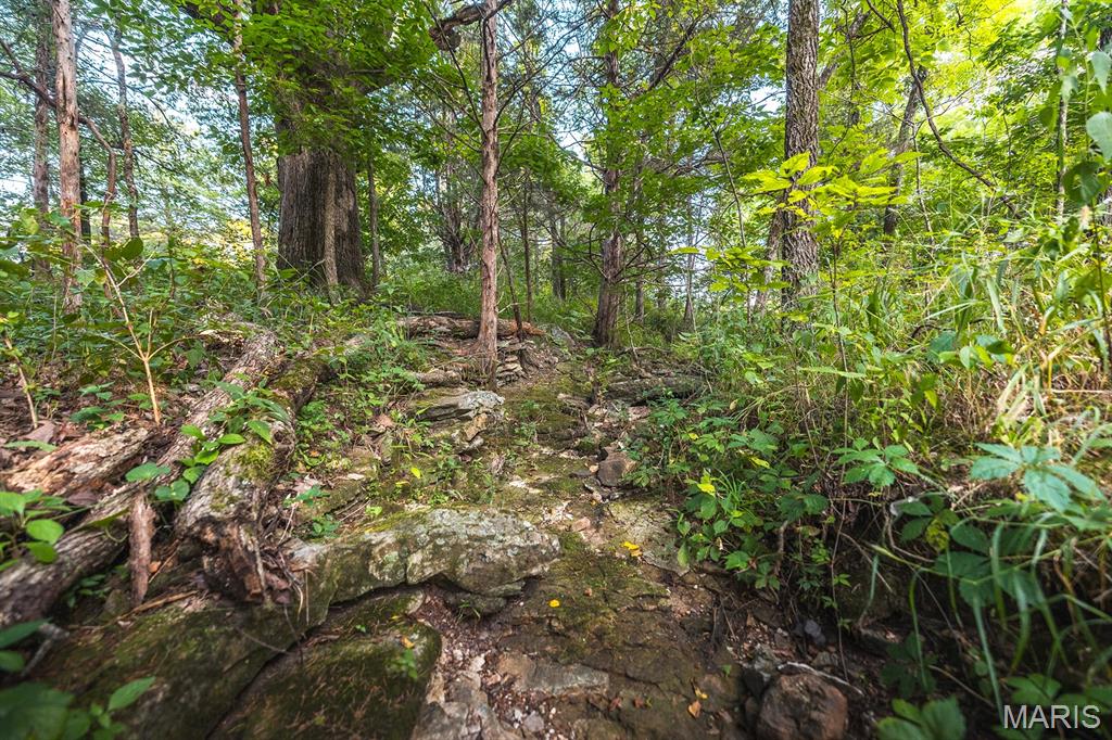 Photo 56 - Land for sale – 00  Mo-V   St James, MO