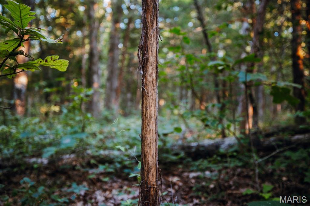 Photo 40 - Land for sale – 00  Mo-V   St James, MO