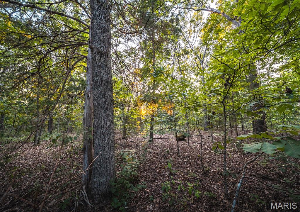 Photo 60 - Land for sale – 00  Mo-V   St James, MO