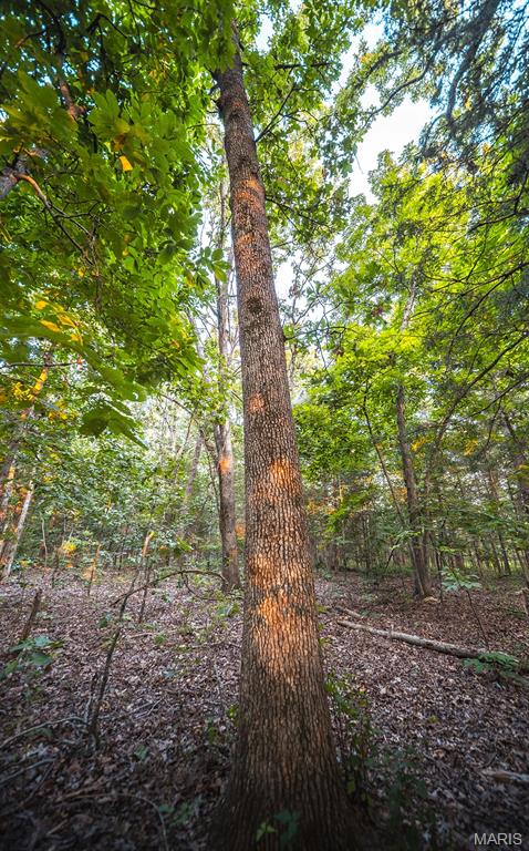 Photo 62 - Land for sale – 00  Mo-V   St James, MO