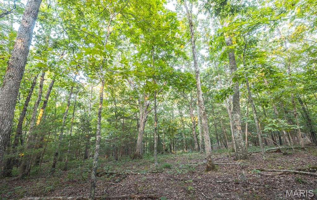 Photo 44 - Land for sale – 00  Mo-V   St James, MO