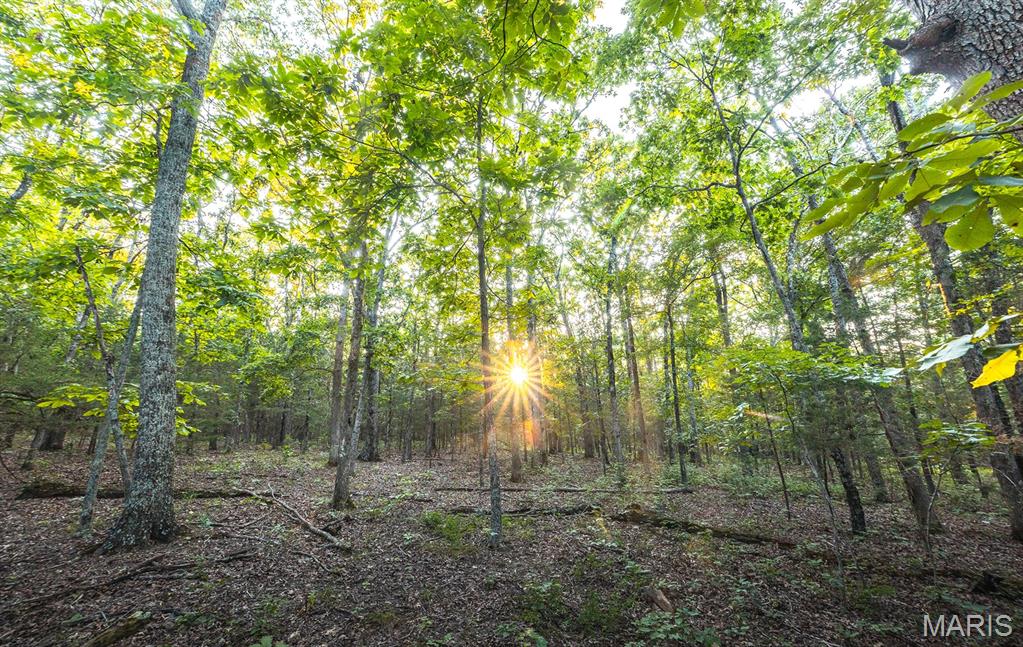 Photo 47 - Land for sale – 00  Mo-V   St James, MO