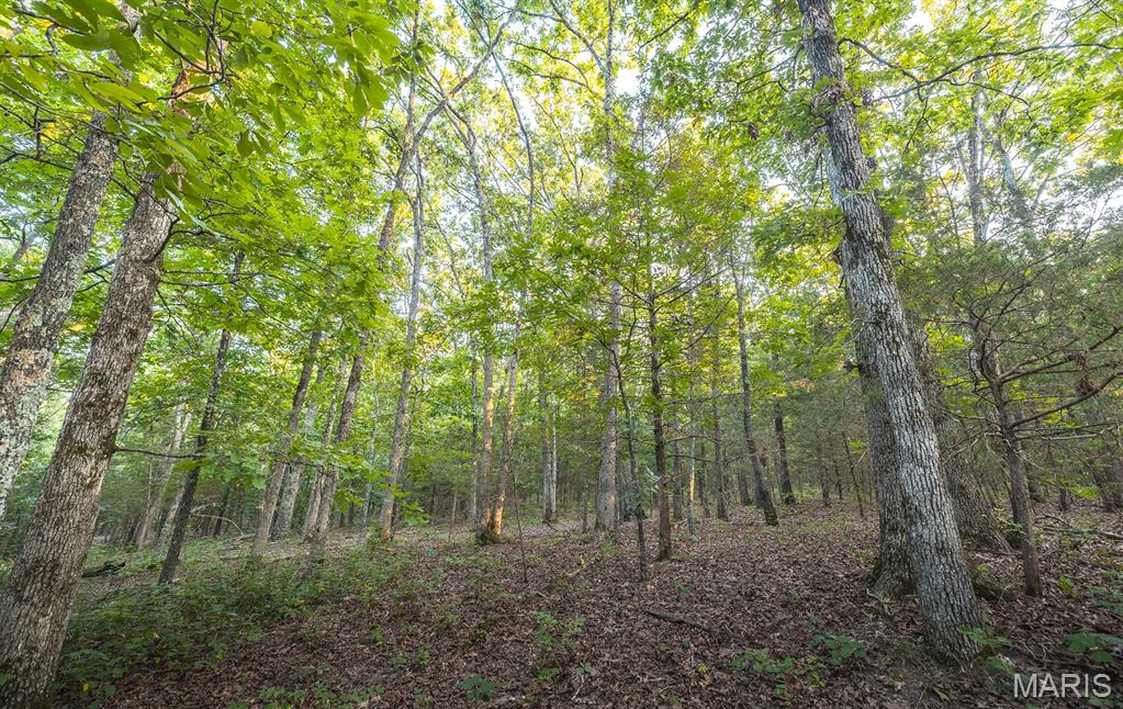 Photo 42 - Land for sale – 00  Mo-V   St James, MO