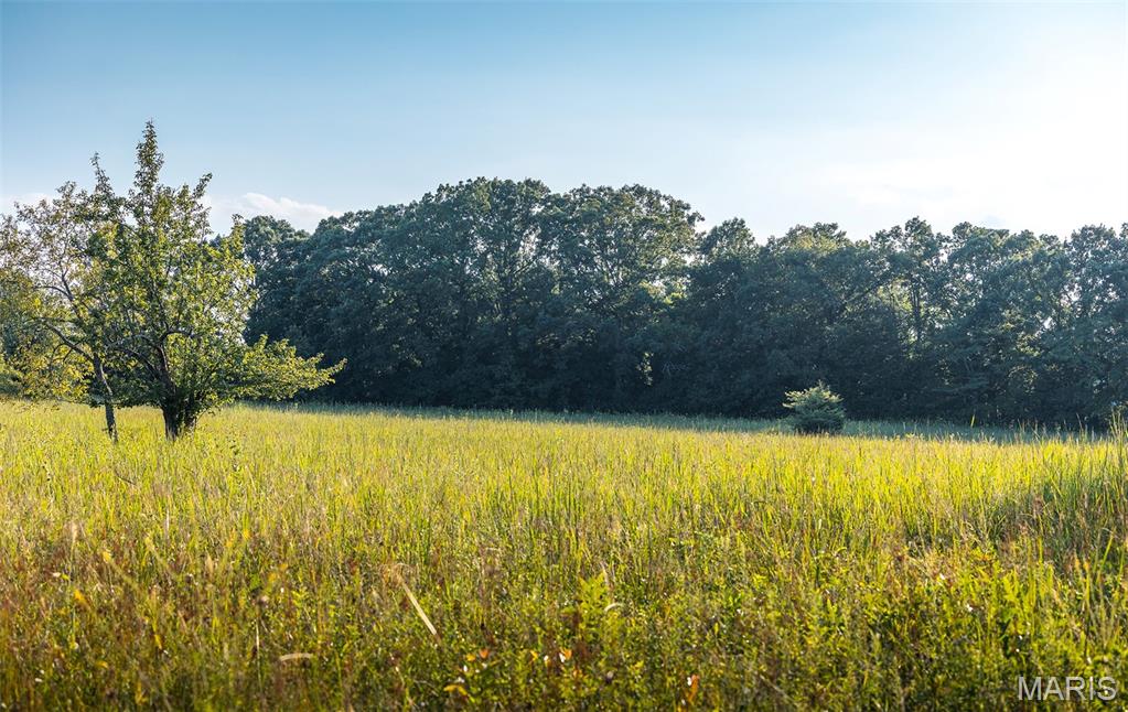 Photo 35 - Land for sale – 00  Mo-V   St James, MO