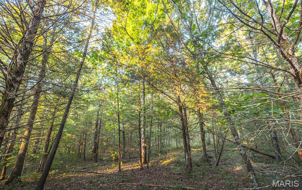 Photo 37 - Land for sale – 00  Mo-V   St James, MO