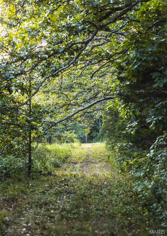 Photo 59 - Land for sale – 00  Mo-V   St James, MO
