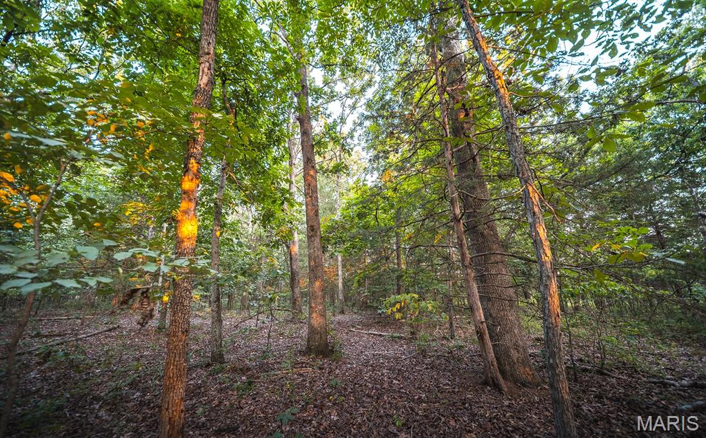 Photo 61 - Land for sale – 00  Mo-V   St James, MO