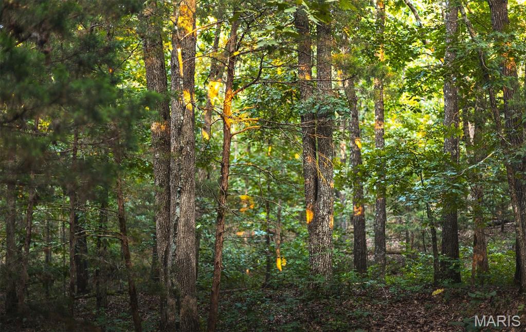 Photo 49 - Land for sale – 00  Mo-V   St James, MO