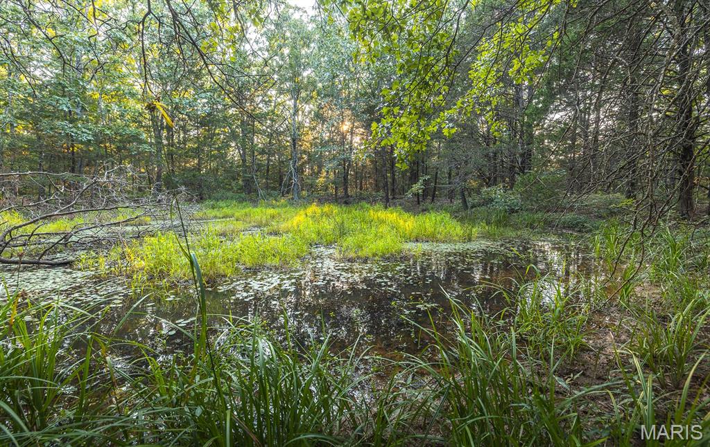 Photo 41 - Land for sale – 00  Mo-V   St James, MO