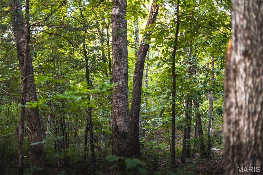 Photo 51 - Land for sale – 00  Mo-V   St James, MO