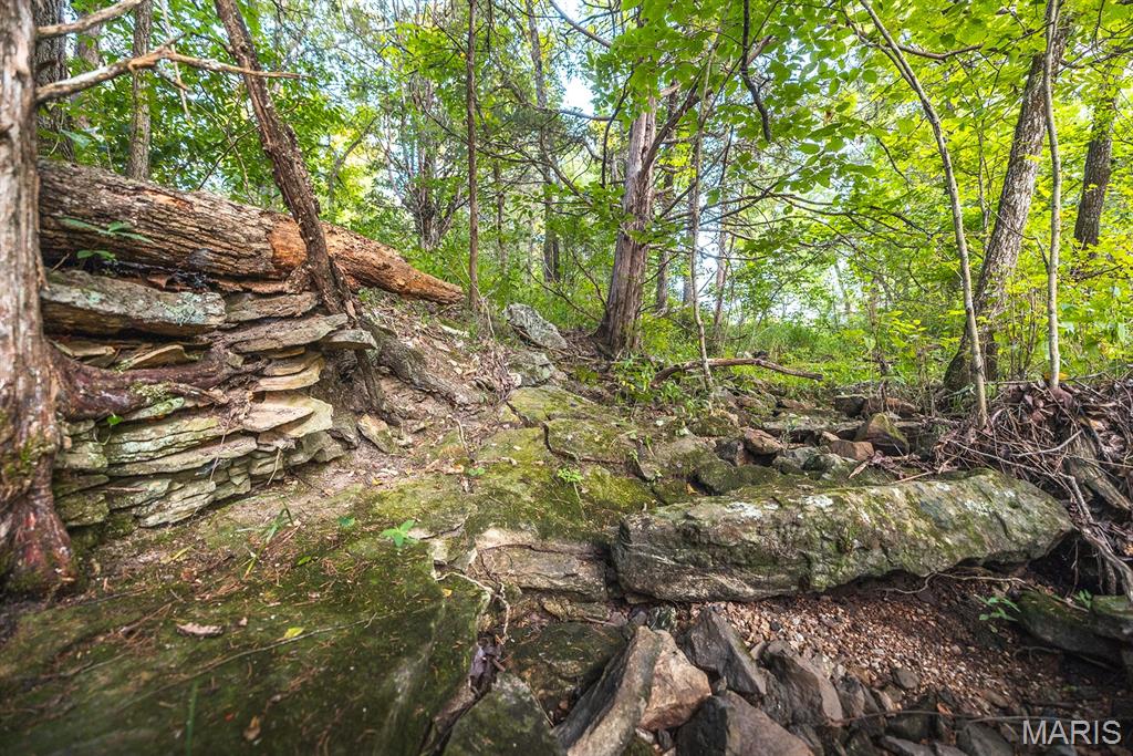 Photo 57 - Land for sale – 00  Mo-V   St James, MO