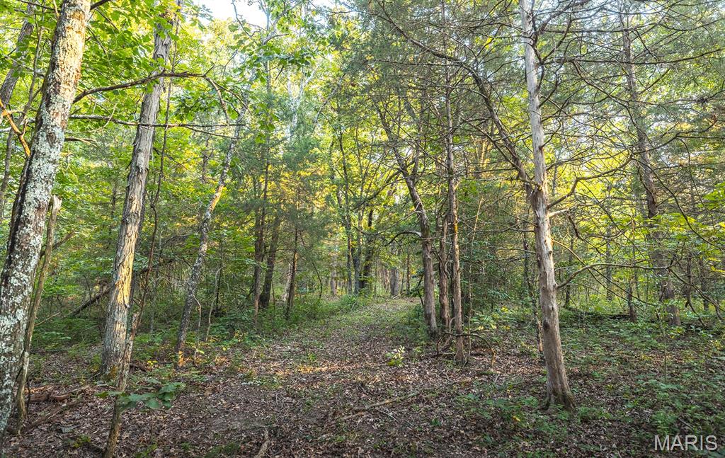 Photo 39 - Land for sale – 00  Mo-V   St James, MO