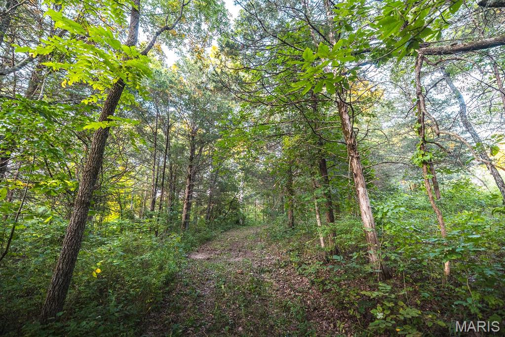 Photo 58 - Land for sale – 00  Mo-V   St James, MO