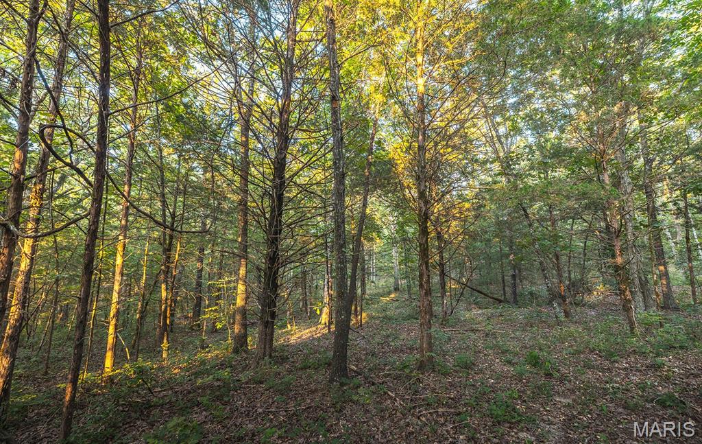 Photo 36 - Land for sale – 00  Mo-V   St James, MO