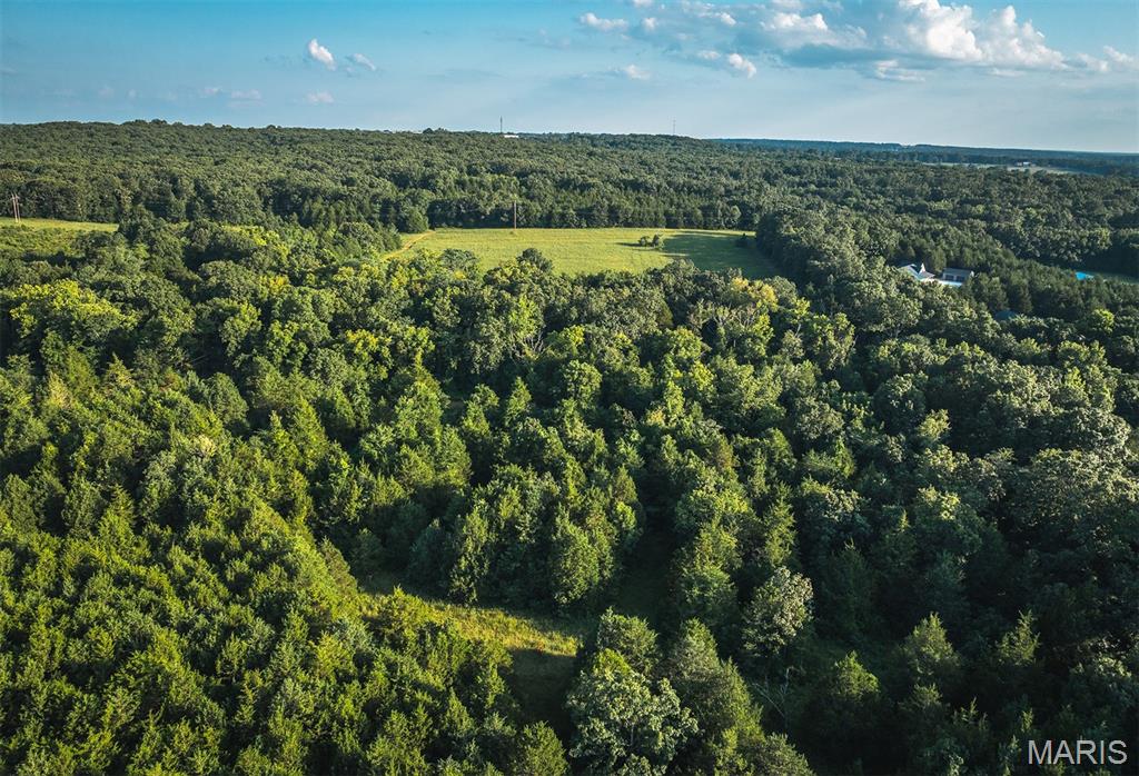 Photo 13 - Land for sale – 00  Mo-V   St James, MO