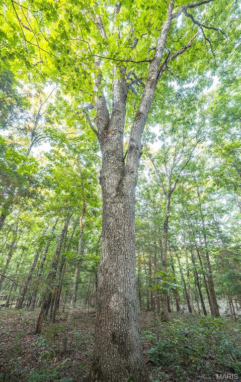 Photo 45 - Land for sale – 00  Mo-V   St James, MO
