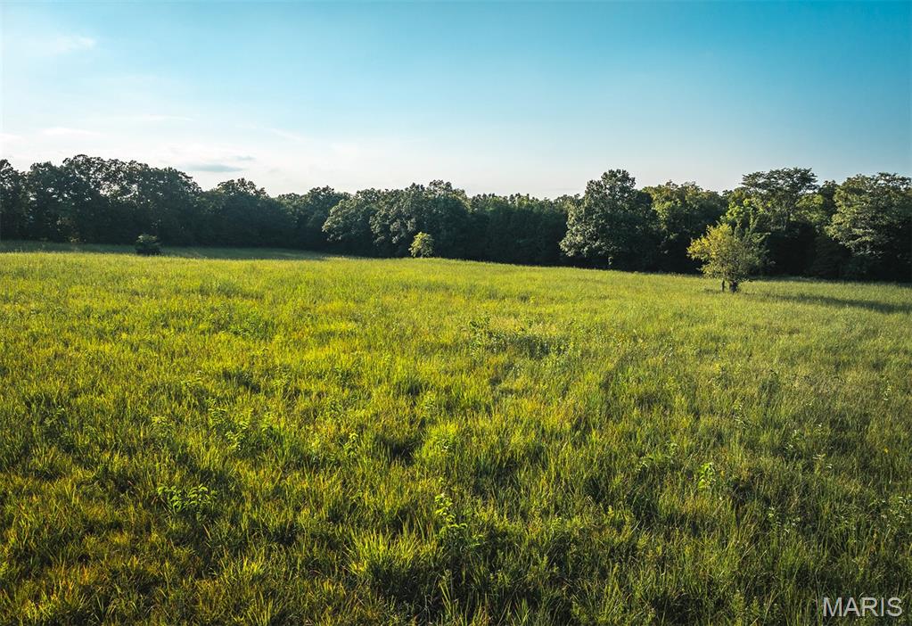 Photo 17 - Land for sale – 00  Mo-V   St James, MO