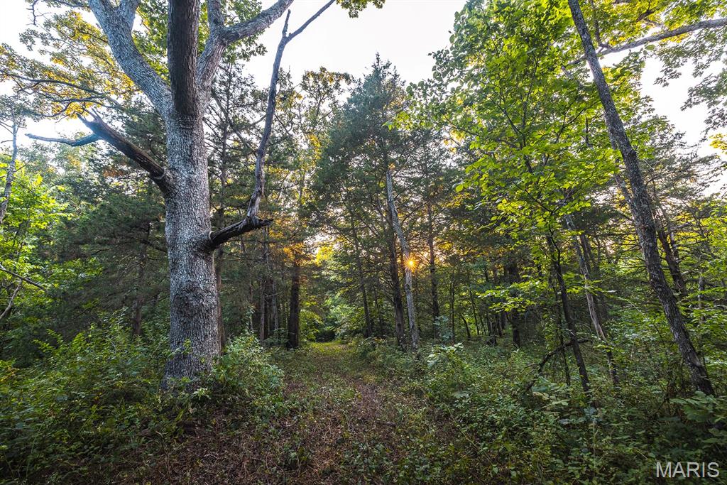 Photo 52 - Land for sale – 00  Mo-V   St James, MO