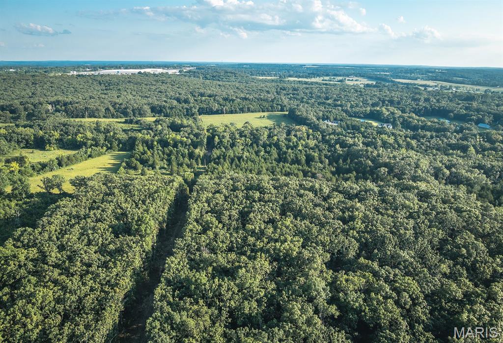 Photo 6 - Land for sale – 00  Mo-V   St James, MO