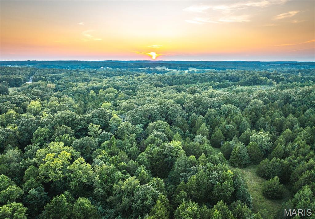 Photo 29 - Land for sale – 00  Mo-V   St James, MO