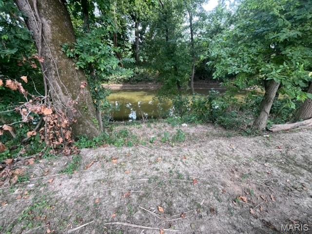 Photo 4 - Land for sale – lots 51&52  Maries Road 339   Vichy, MO