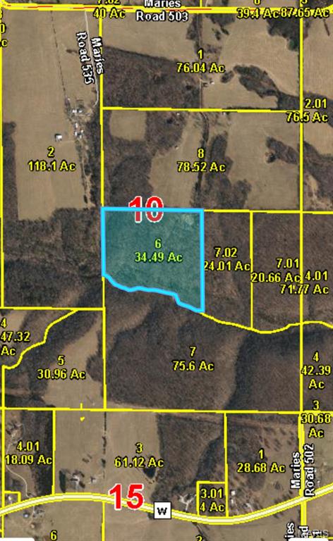 Land for sale – 33223  Maries Road 503   Dixon, MO