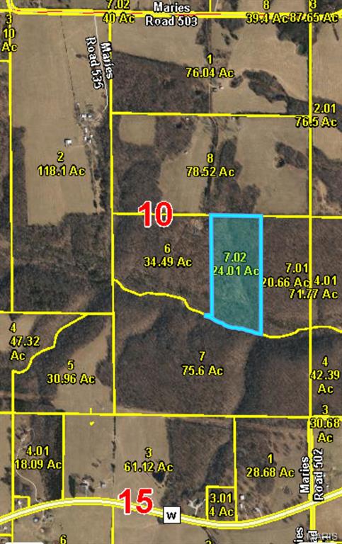 Photo 2 - Land for sale – 33223  Maries Road 503   Dixon, MO