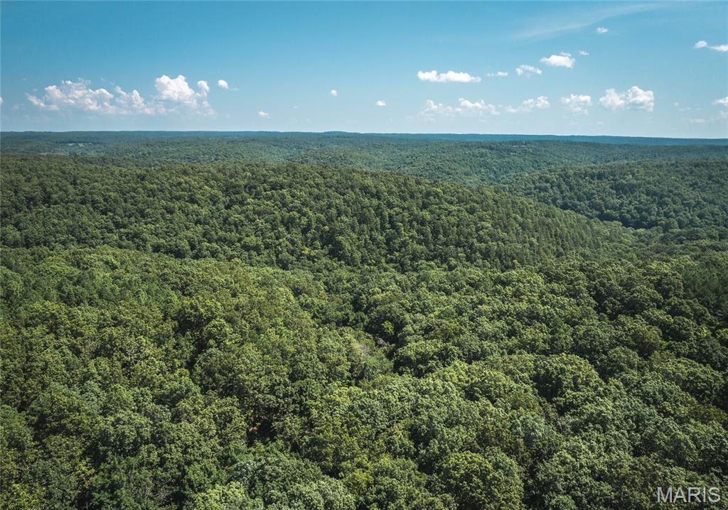 Photo 56 - Farm for sale – 2251  County Road 6670   Salem, MO