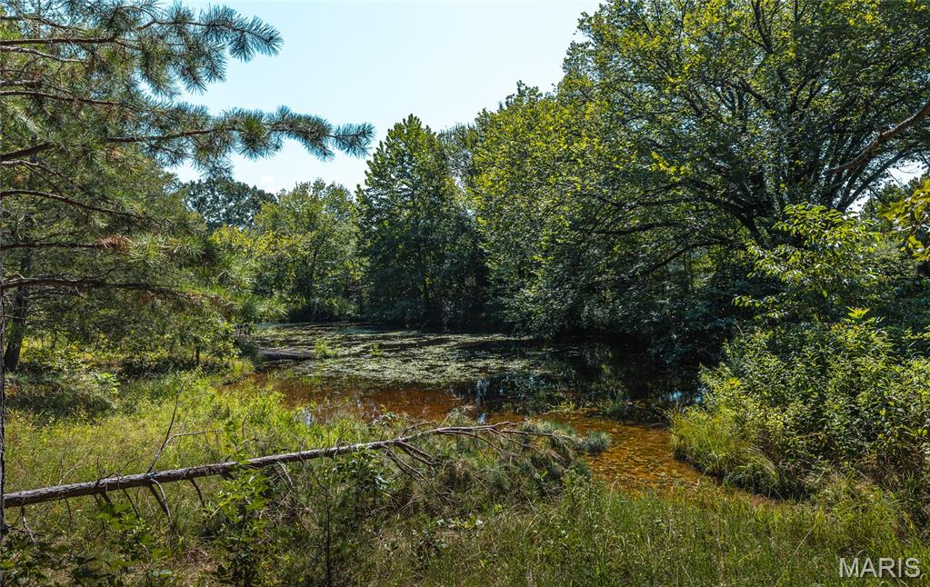 Photo 14 - Farm for sale – 2251  County Road 6670   Salem, MO