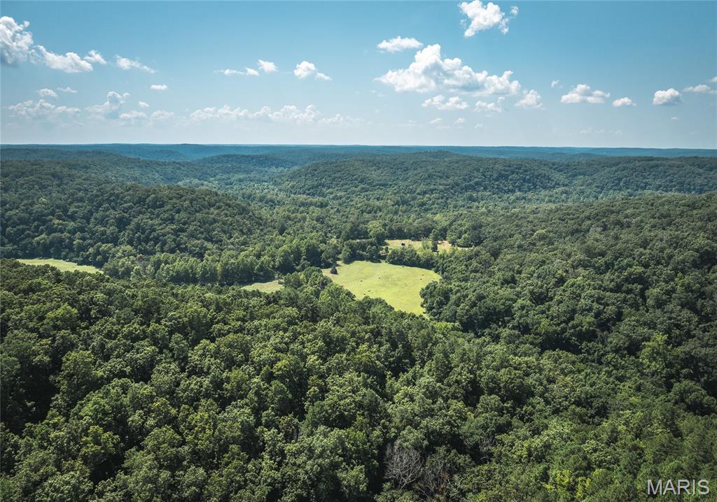 Photo 55 - Farm for sale – 2251  County Road 6670   Salem, MO