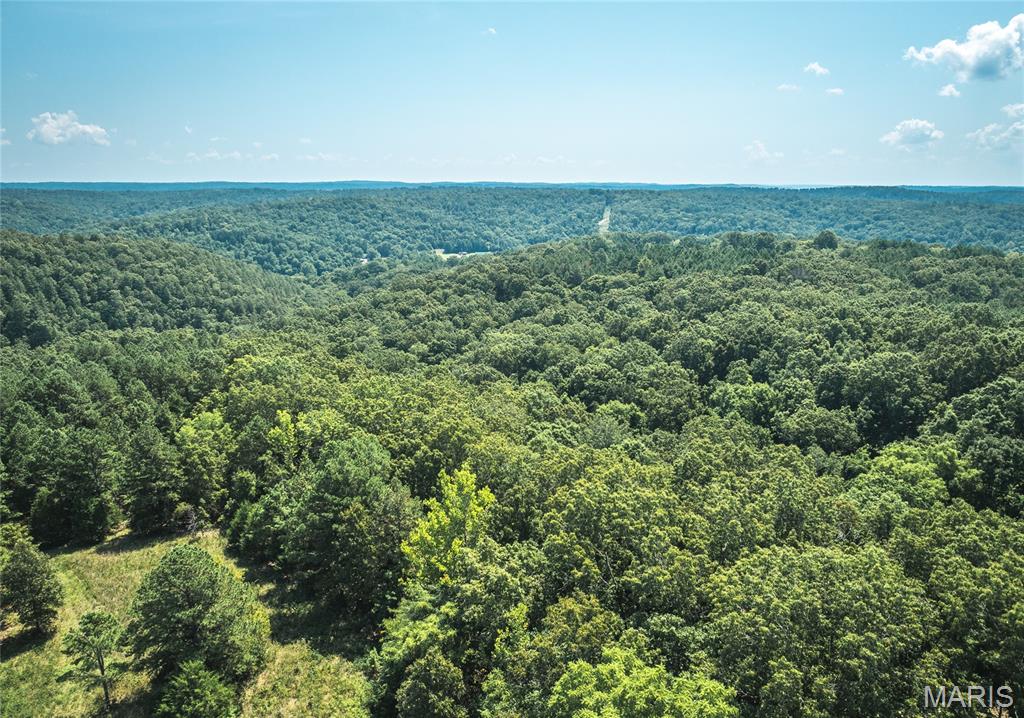 Photo 54 - Farm for sale – 2251  County Road 6670   Salem, MO
