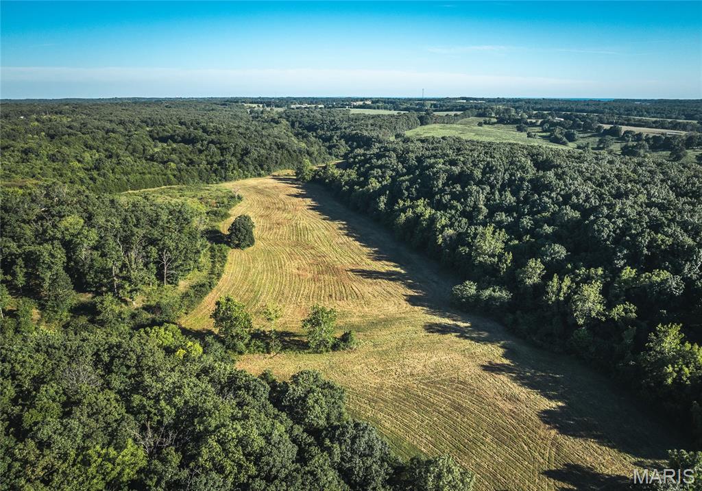 Photo 4 - Land for sale – 44.54 Acres  Highway BB   Dixon, MO