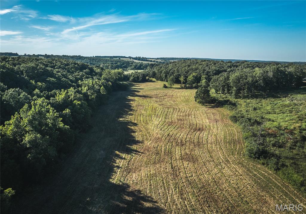 Photo 18 - Land for sale – 44.54 Acres  Highway BB   Dixon, MO