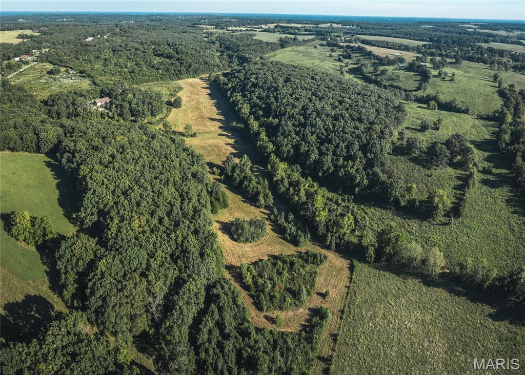 Photo 7 - Land for sale – 44.54 Acres  Highway BB   Dixon, MO