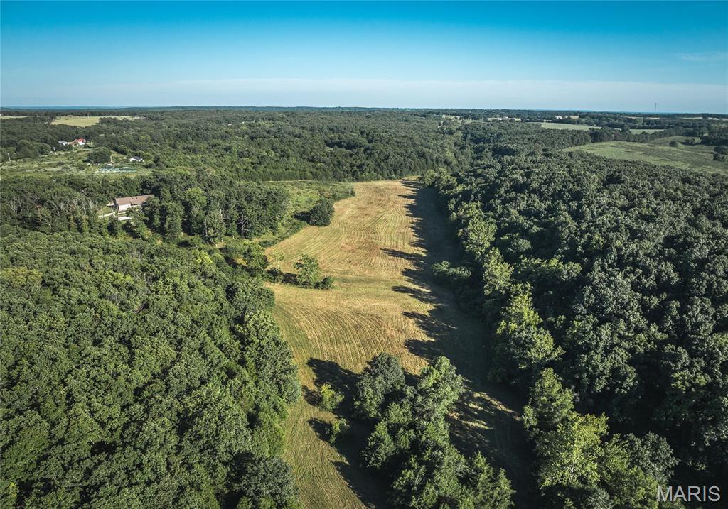 Photo 8 - Land for sale – 44.54 Acres  Highway BB   Dixon, MO