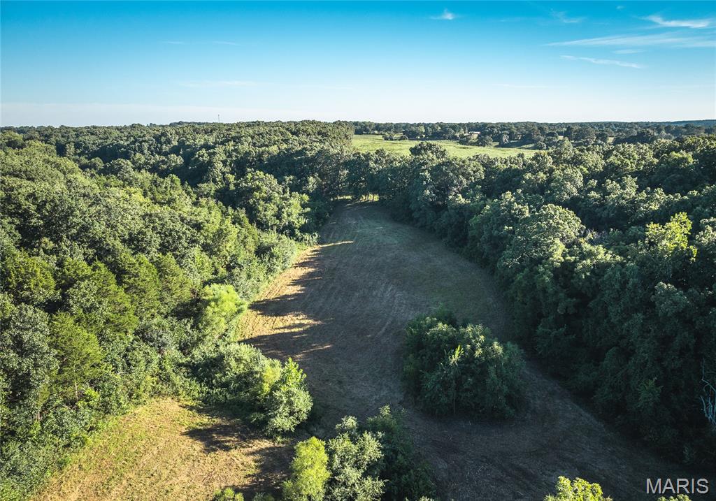 Photo 19 - Land for sale – 44.54 Acres  Highway BB   Dixon, MO