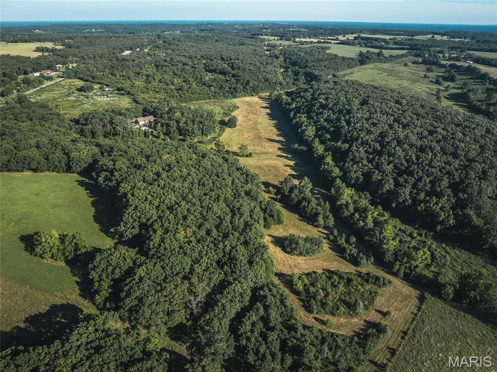 Photo 6 - Land for sale – 44.54 Acres  Highway BB   Dixon, MO