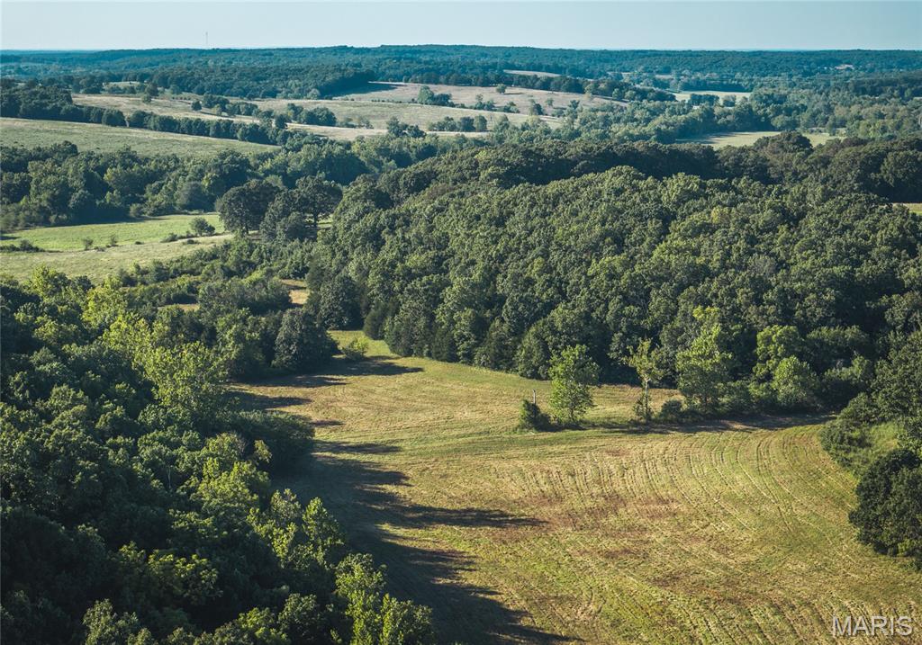 Photo 17 - Land for sale – 44.54 Acres  Highway BB   Dixon, MO