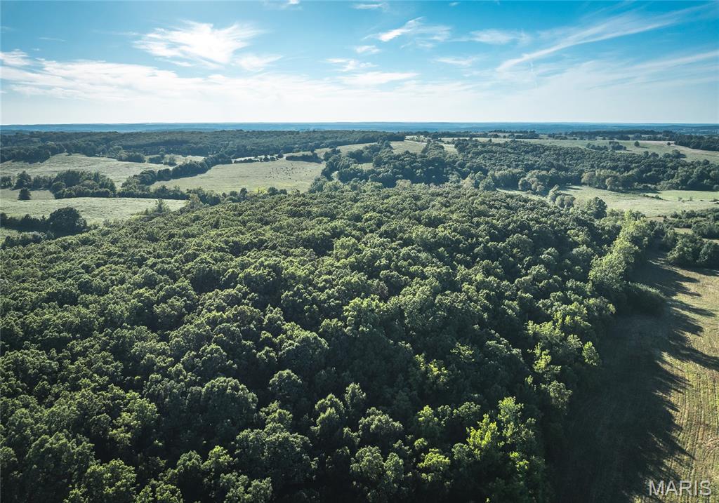 Photo 20 - Land for sale – 44.54 Acres  Highway BB   Dixon, MO