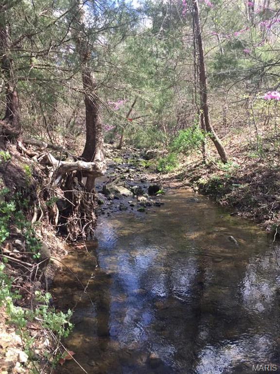 Photo 21 - Land for sale – 44.54 Acres  Highway BB   Dixon, MO
