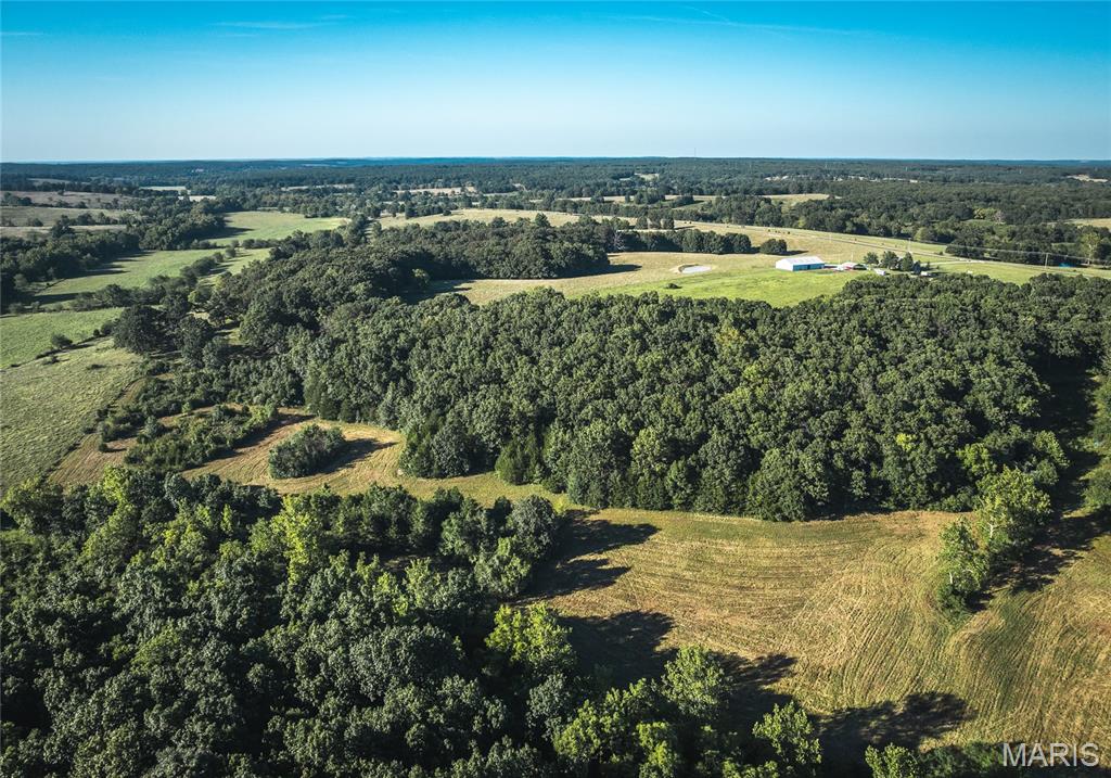 Photo 12 - Land for sale – 44.54 Acres  Highway BB   Dixon, MO