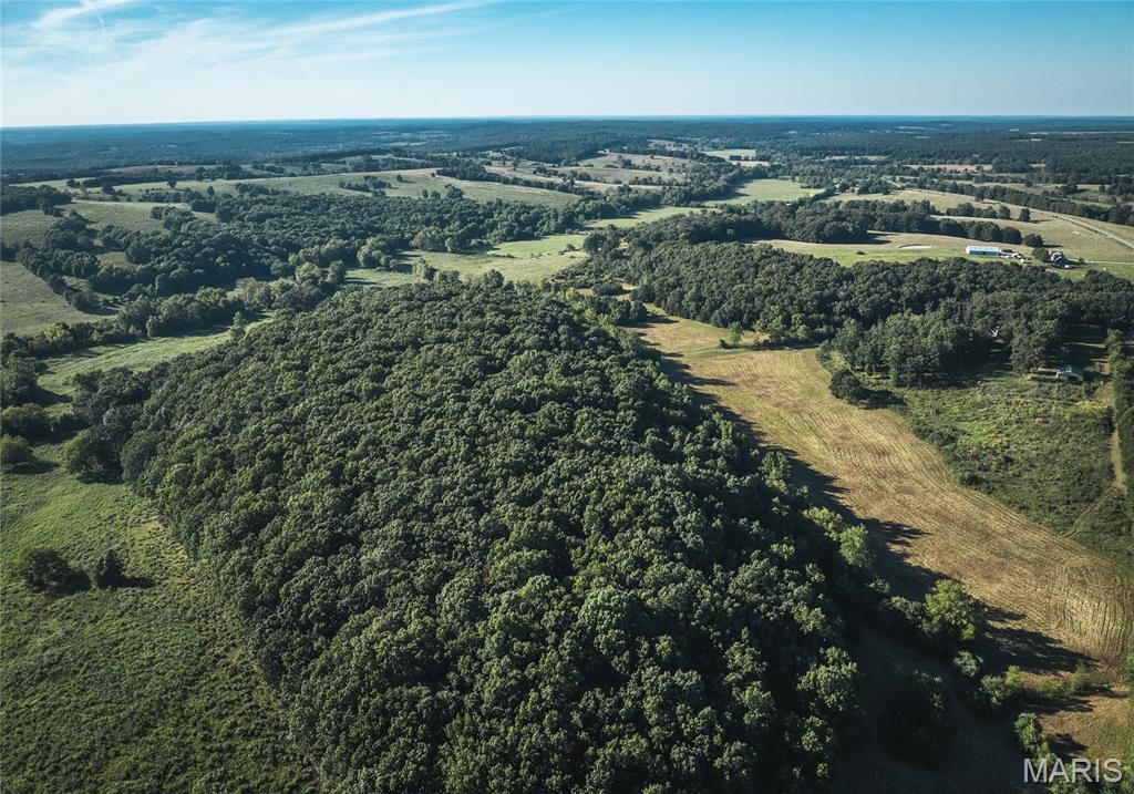 Photo 15 - Land for sale – 44.54 Acres  Highway BB   Dixon, MO
