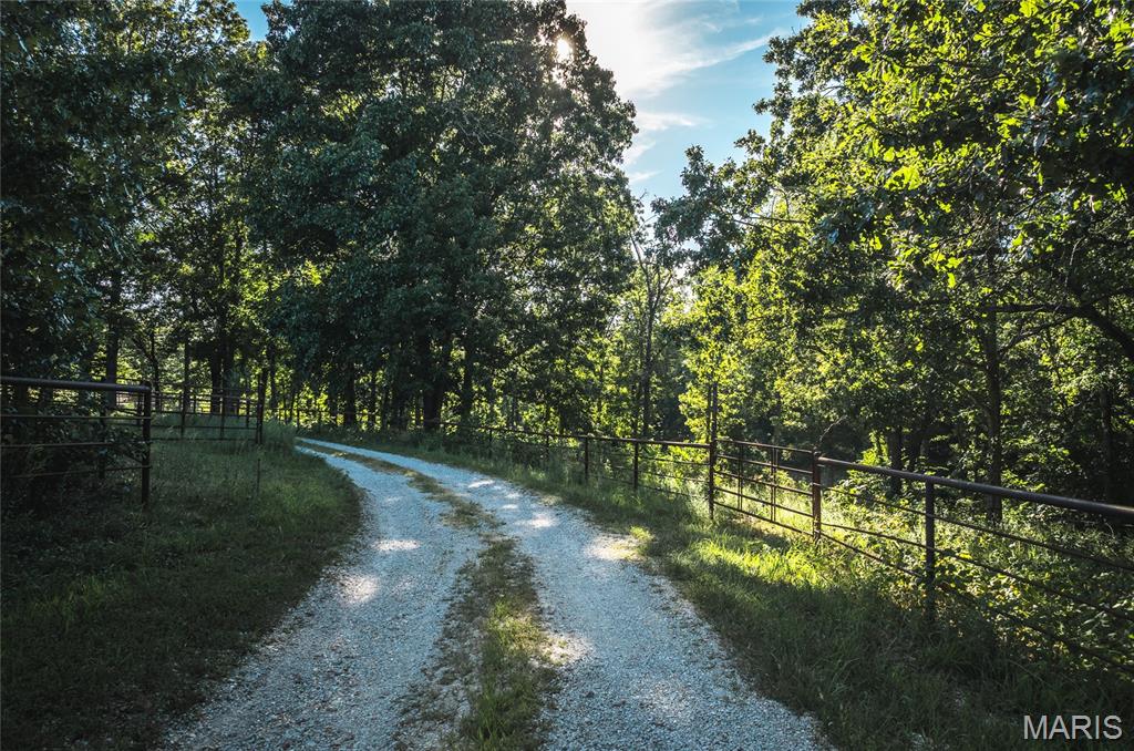 Photo 2 - Land for sale – 44.54 Acres  Highway BB   Dixon, MO