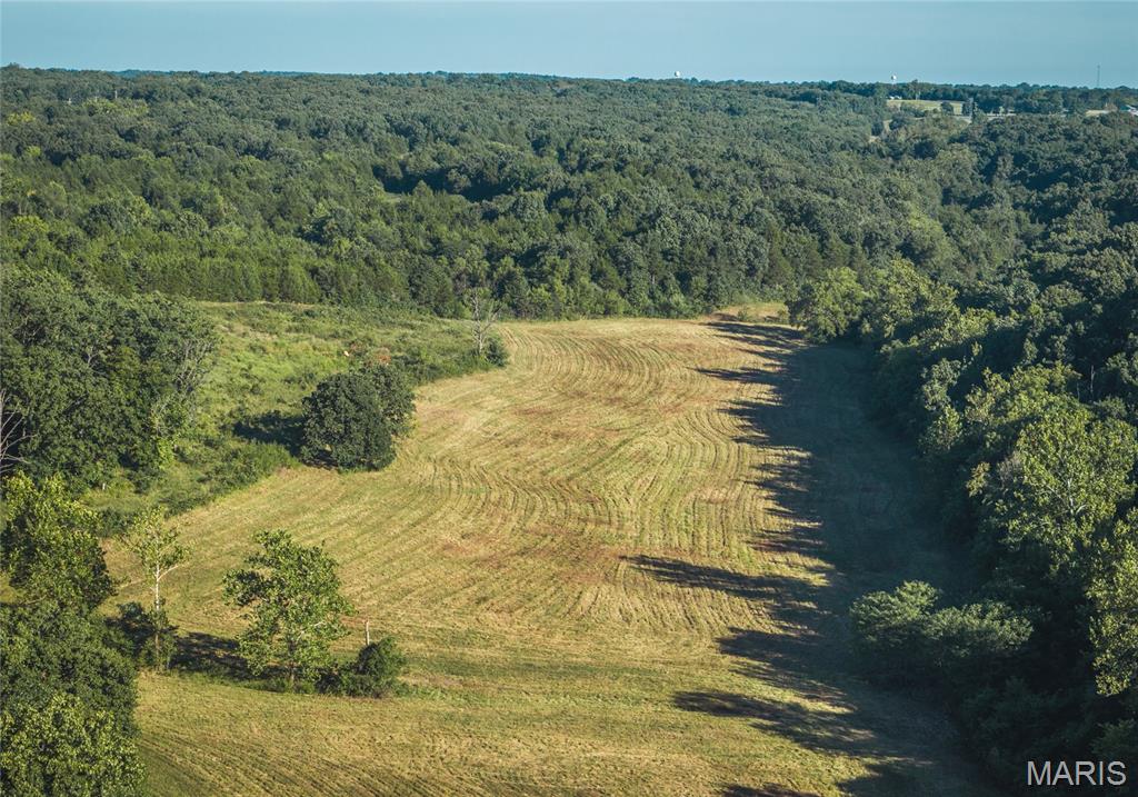 Photo 9 - Land for sale – 44.54 Acres  Highway BB   Dixon, MO