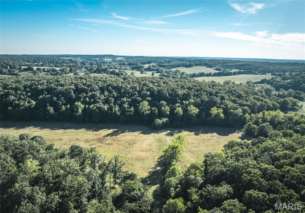 Photo 3 - Land for sale – 44.54 Acres  Highway BB   Dixon, MO
