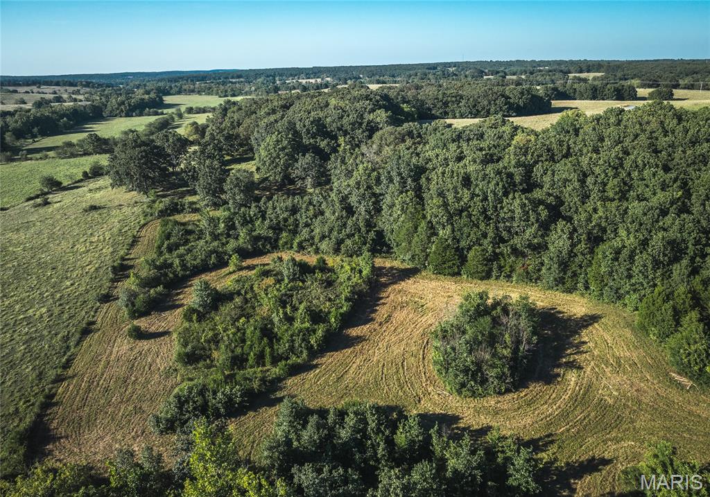 Photo 10 - Land for sale – 44.54 Acres  Highway BB   Dixon, MO